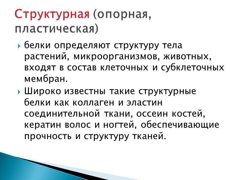 белки определяют структуру тела растений, микроорганизмов, животных, входят в состав клеточных и субклеточных мембран.
